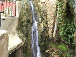 Mula Antigua serie-2